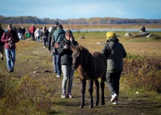 От 110 до 3030 евро: массовые гулянья в заповедниках Латвии могут стать "золотыми"