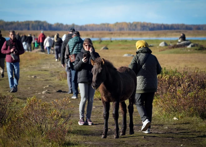 От 110 до 3030 евро: массовые гулянья в заповедниках Латвии могут стать "золотыми"