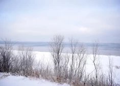 Pirmdien lielākajā daļā Latvijas teritorijas gaidāms sniegs