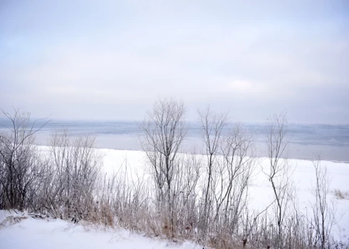 Pirmdien lielākajā daļā Latvijas teritorijas gaidāms sniegs. 