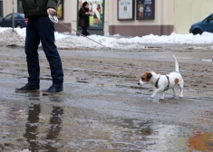 Februāra izskaņā sinoptiķi brīdina par sniegu un atkalu