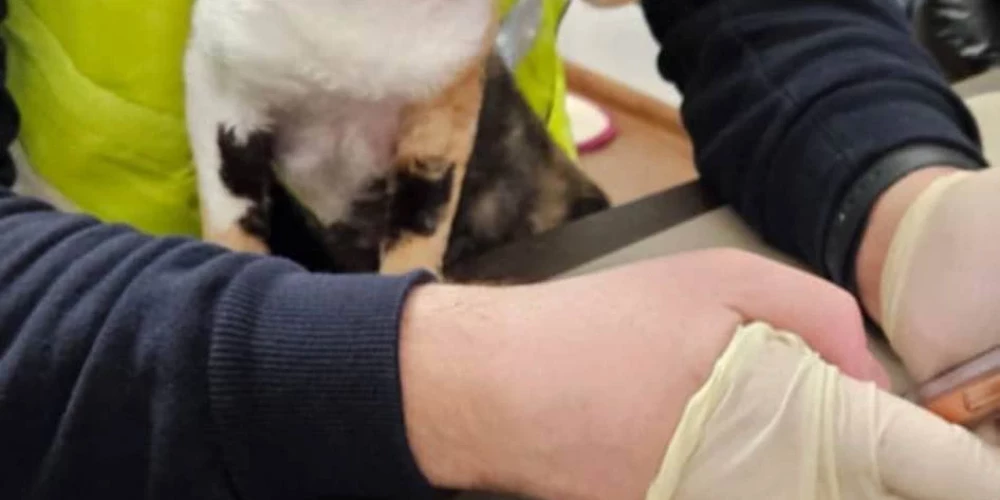  Vērienīgā operācijā Dņipro sagrauts krāpnieku tīkls, kas apzadzis arī Latvijas iedzīvotājus.