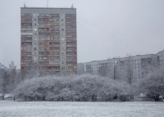 Почти "схема Долиной": в Латвии суду предложат решать - кому оставить жилье, купленное у мошенника