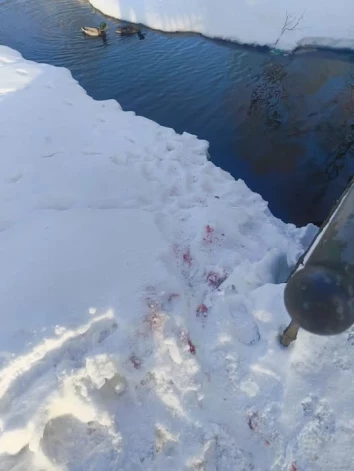 Šāds skats novērots Arkādijas parkā.