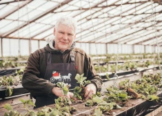 Ягодники предупреждают: в этом году клубника в Латвии появится позже обычного