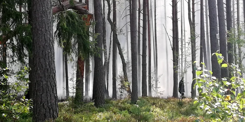 Иллюстративное фото.