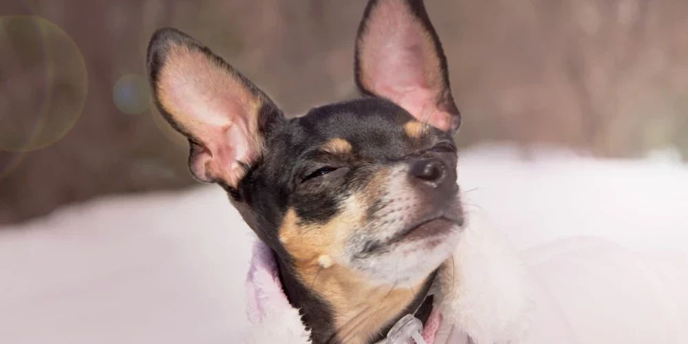 Иллюстративное фото.