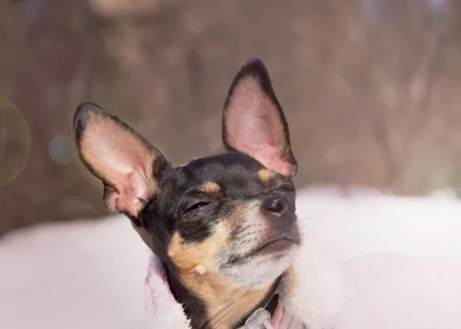 Циклон уходит: среда в Латвии начнется со снега, а закончится ясным небом и солнцем