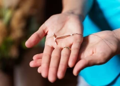 Plāno nodrošināt bezmaksas kontracepciju tikko dzimumdzīvi uzsākušām sievietēm