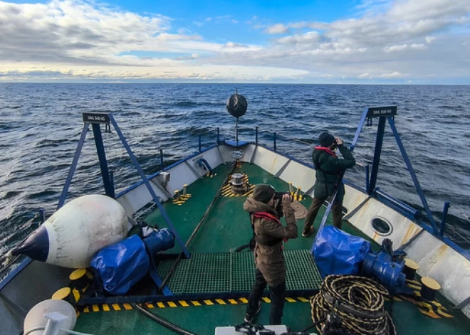 Starptautiski putnu pētnieki kā savu bāzes vietu izvēlas Pāvilostu