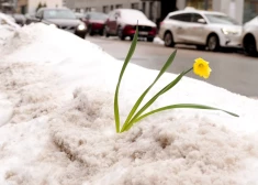 Среда будет преимущественно солнечной