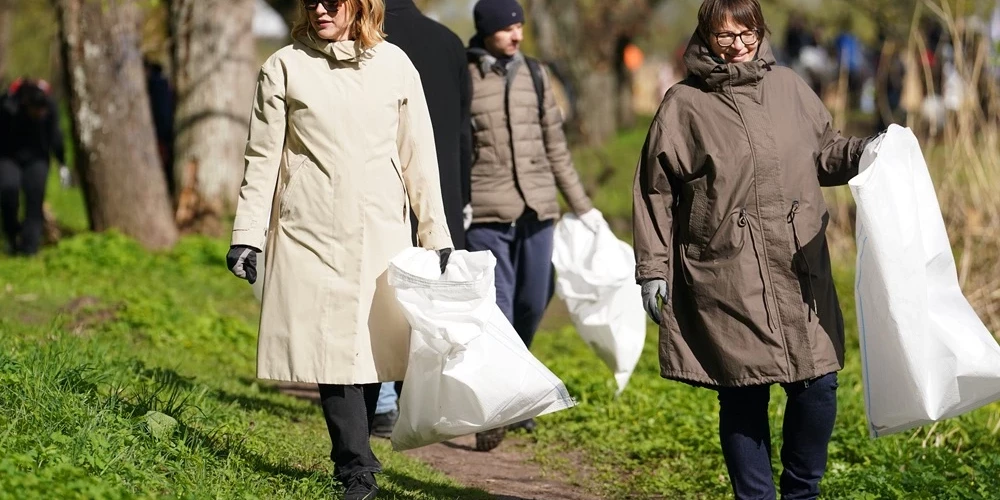 В прошлом году даже премьер-министр Латвии Эвика Силиня (на фото - слева) ходила по лесу с мешком.
