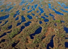 Kūdras purvi – Latvijas dabas dārgums vai klimata slogs?