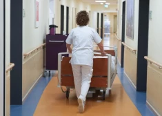 Latvijā turpina plosīties gripa: aizvadītajā nedēļā miruši vēl seši cilvēki; vissmagākā situācija Jelgavā un Rēzeknē