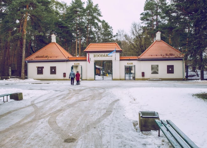 В Риге появятся новые места для голосования на выборах в Сейм - в том числе и в зоопарке