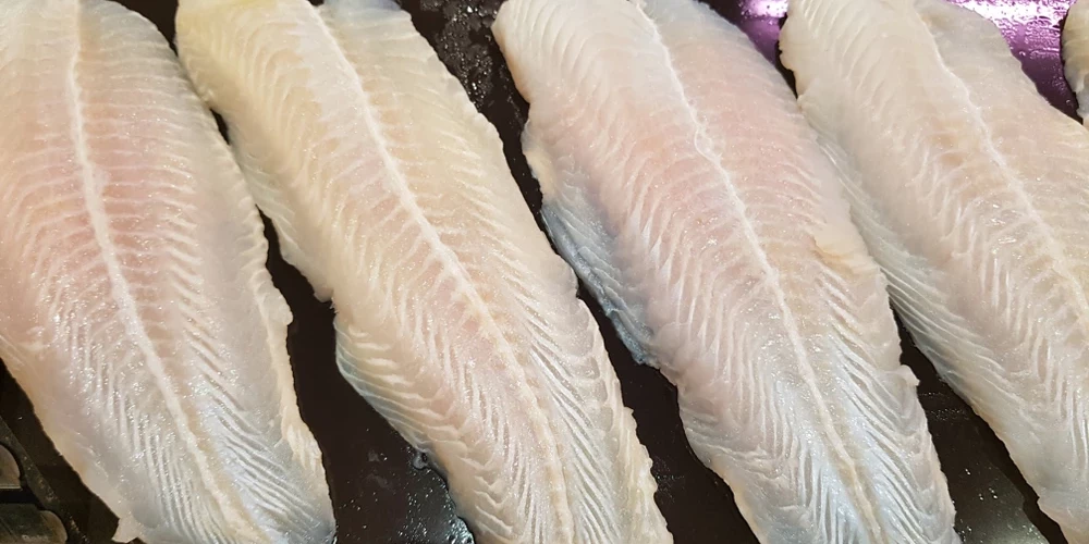 Разовое употребление пангасиуса не представляет опасности, однако систематическое может способствовать накоплению токсичных веществ в организме.