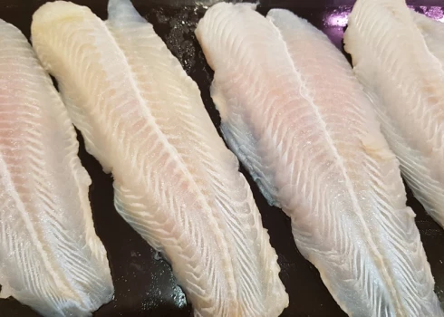 Разовое употребление пангасиуса не представляет опасности, однако систематическое может способствовать накоплению токсичных веществ в организме.