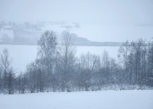 Иллюстративное фото.
