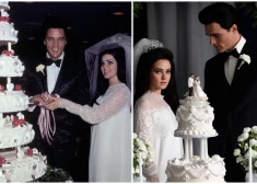 No Elvisa un Priscillas līdz Harijam Stailsam un Olīvijai Vaildai: filmas, ko iedvesmojuši īsti slavenību romāni