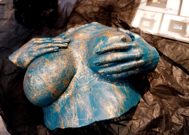 Francijas māksliniekiem iespēja piedalīties rezidencē Pedvāles mākslas parkā