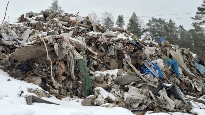 Babītes pagasta Dzilnuciemā vides inspektori uzgāja vairākus simtus kubikmetru nelikumīgi izgāztu būvgružu.