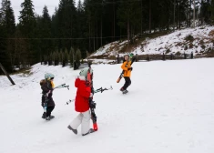 Visu vecumu entuziasti aicināti Gulbenes novadā piedalīties “Āriņu slēpojumā" 