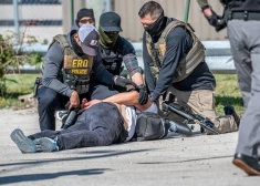 "Выдворяем их отсюда к черту": большинство американцев одобрило депортацию из страны мигрантов, затеянную Трампом