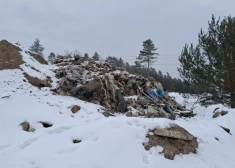 Lielvārdes prāvests nikns uz egļu lauzējiem, Ludzā priecājas par policijas pārcentību, atkritumu kalns Babītē: kriminālā province