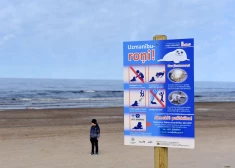  Roņu laiks klāt: Ventspilī manīts pirmais roņu mazulis