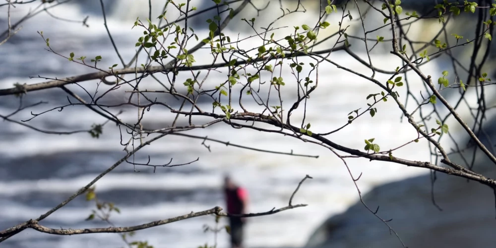 Sestdien Latvijā gaisa temperatūra paaugstināsies jau krietni virs nulles. 