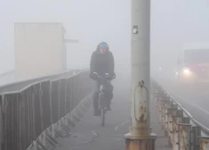 Туман накрыл Ригу: объявлено желтое предупреждение