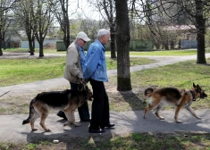 Aptauja: Latvijā 14% vīriešu meklējuši palīdzību mentālās veselības problēmu gadījumā