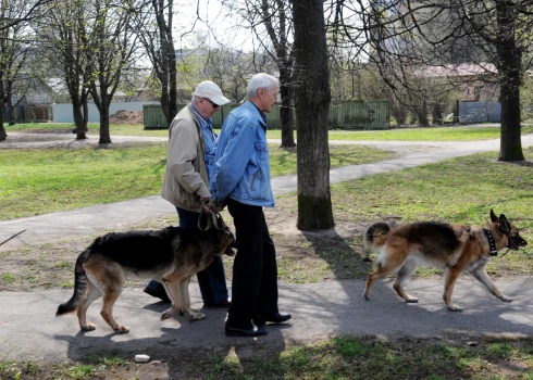 Ja vecuma grupā no 30 līdz 39 gadiem speciālista palīdzību neizmantotu 49% vīriešu, tad vecuma grupā no 50 līdz 59 gadiem - jau 76%.