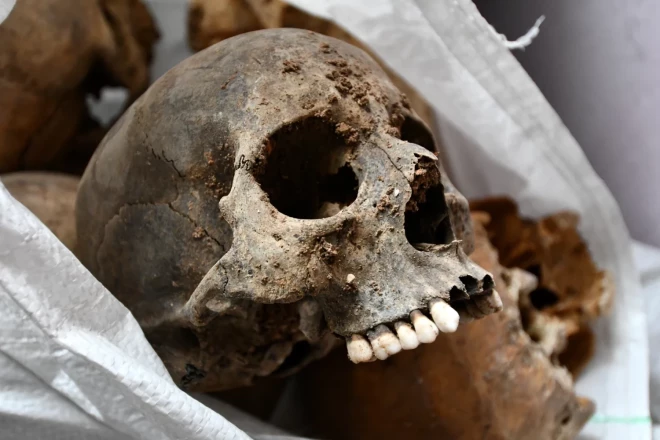 Череп, обнаруженный во время археологических раскопок в бывшей католической церкви в Илуксте.