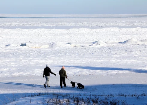 Лед в море пришел в движение.
