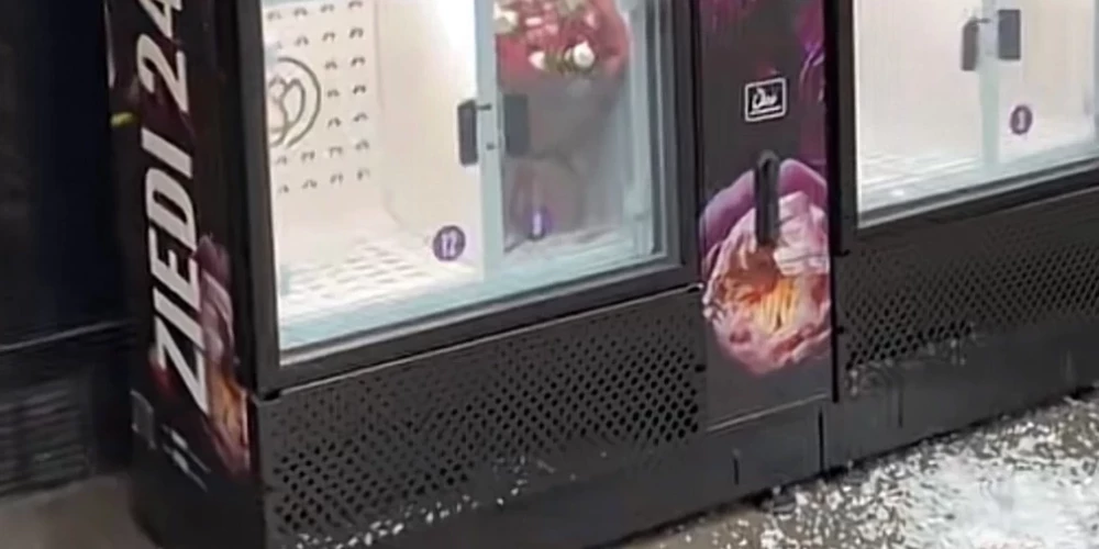 В Риге орудуют цветочные воры.