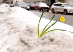 Pirmdien daudzviet Latvijā gaidāms lietus un sniegs