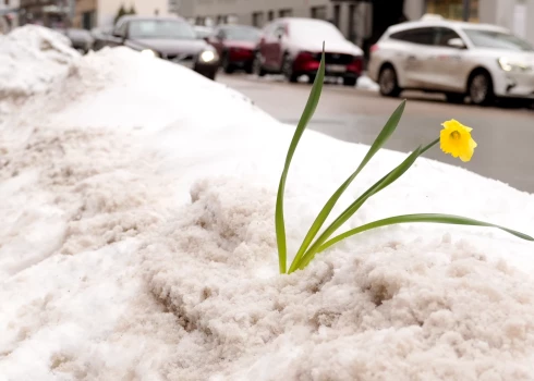 Pirmdien daudzviet līs un snigs.