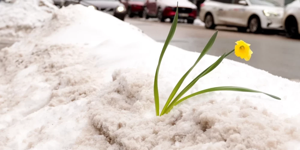 Иллюстративное фото.