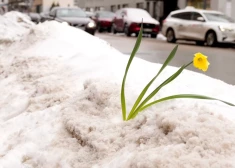 В понедельник местами пройдут дожди и снег