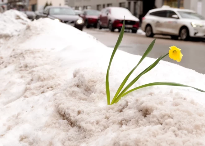 В понедельник местами пройдут дожди и снег