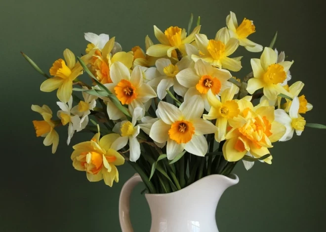 Šonedēļ populārākais vārds - Alise