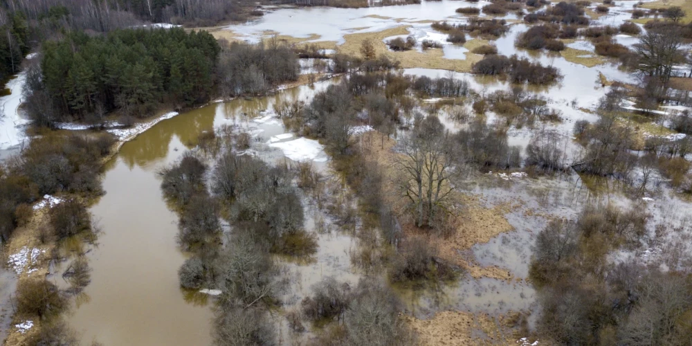 Иллюстративное фото.