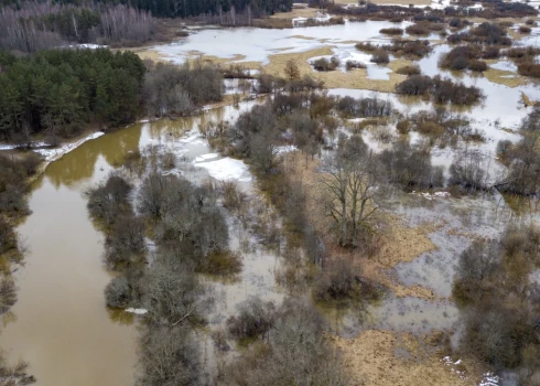 Иллюстративное фото.