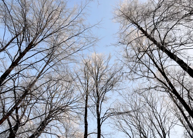 Naktī vietām Kurzemē veidosies migla un sarma