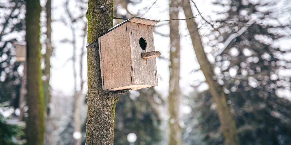 Noskaidro savas zināšanas!