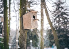Tests: kā sadarboties ar vidi un nodrošināt savu saimniecību?