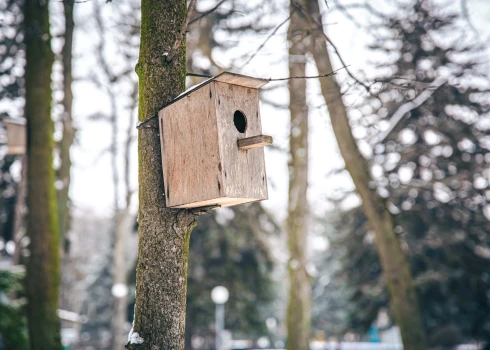 Noskaidro savas zināšanas!