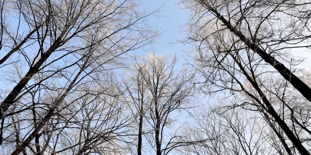 Иллюстративное фото.