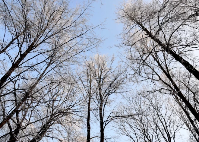 Погода во вторник: холодная ночь и более теплый, дождливый день